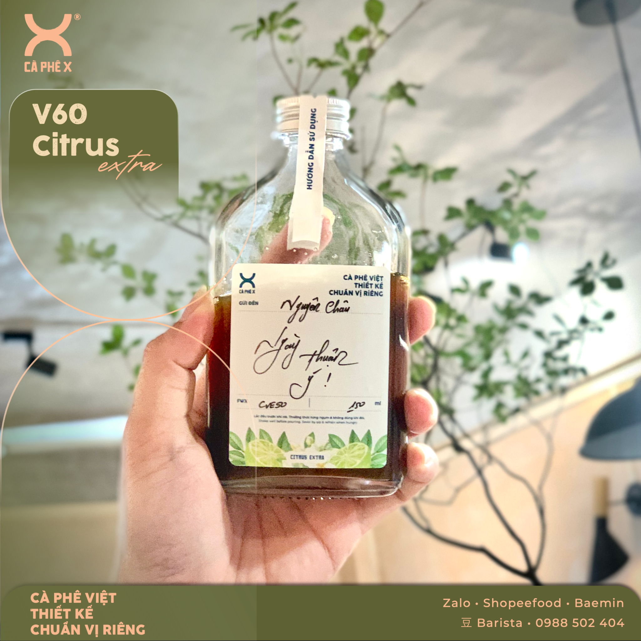 V60 Citrus Extra • Trữ 3 ngày