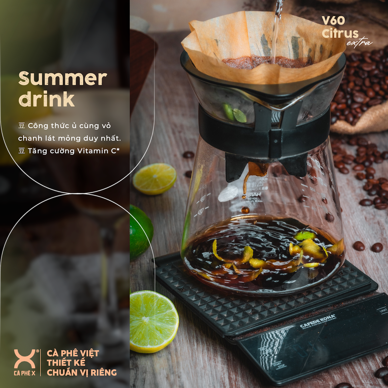V60 Citrus Extra • Trữ 3 ngày