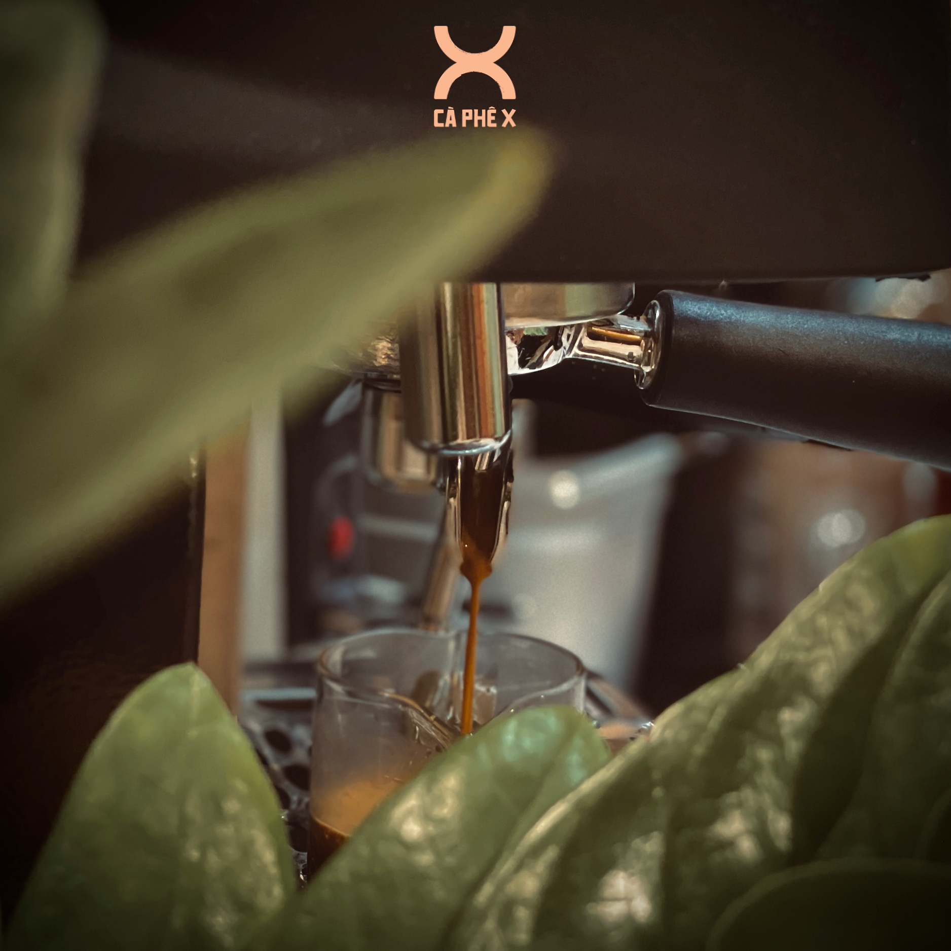Espresso | Vietnamese Roasting