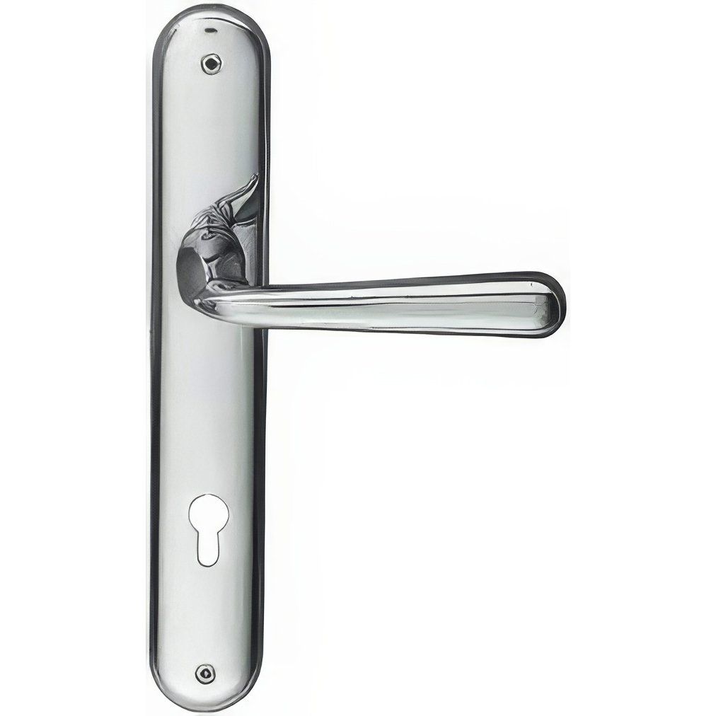 Tay gạt khóa cửa Colombo Robodue - CD51PPY