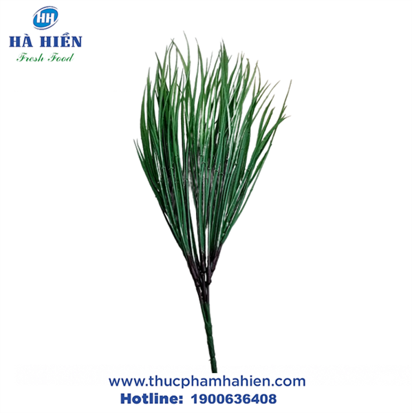 BỤI HẸ GIẢ