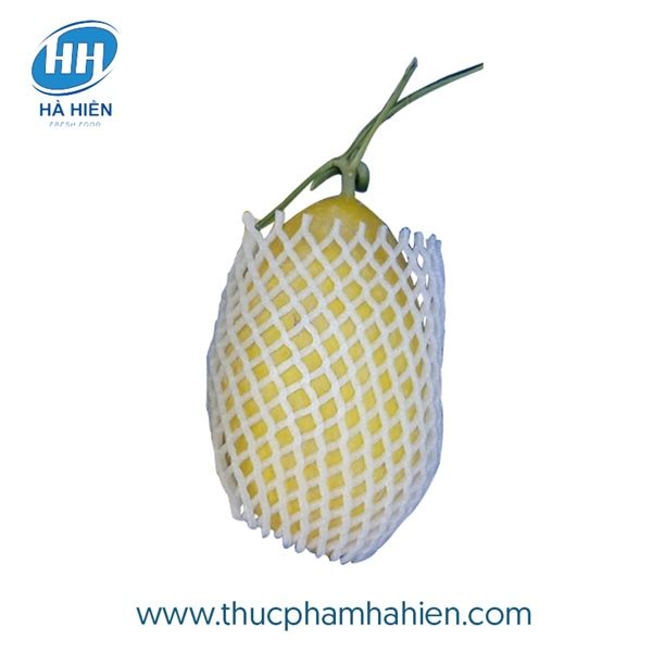 DƯA LƯỚI VÀNG