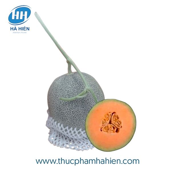 DƯA LƯỚI MẬT