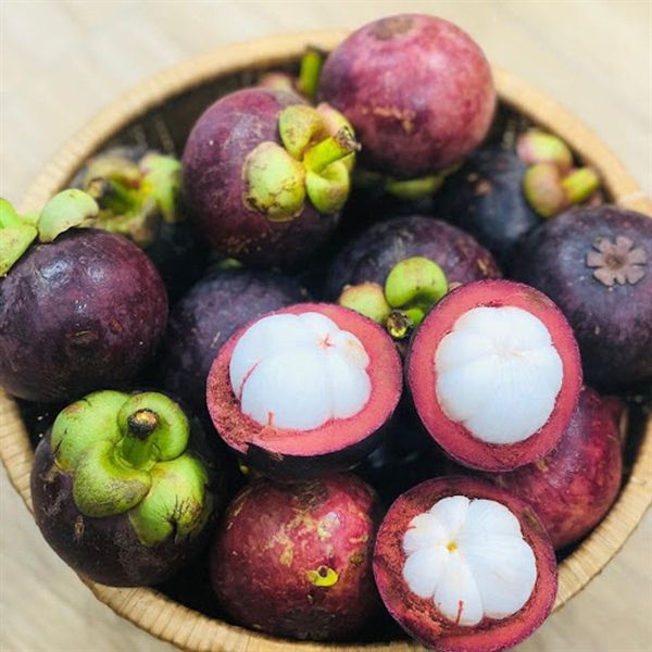 MĂNG CỤT