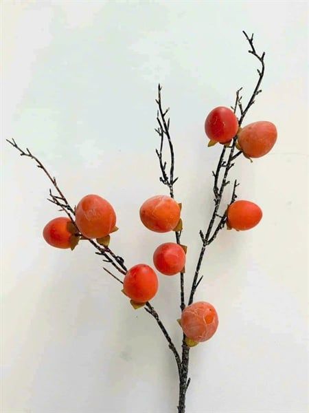 HỒNG TRÒN 9 QUẢ