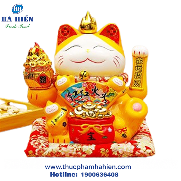 MÈO MAY MẮN
