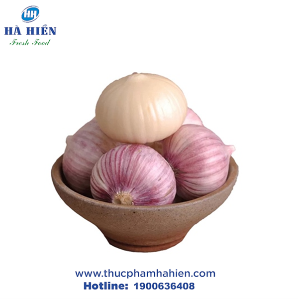 TỎI CÔ ĐƠN BB&CC