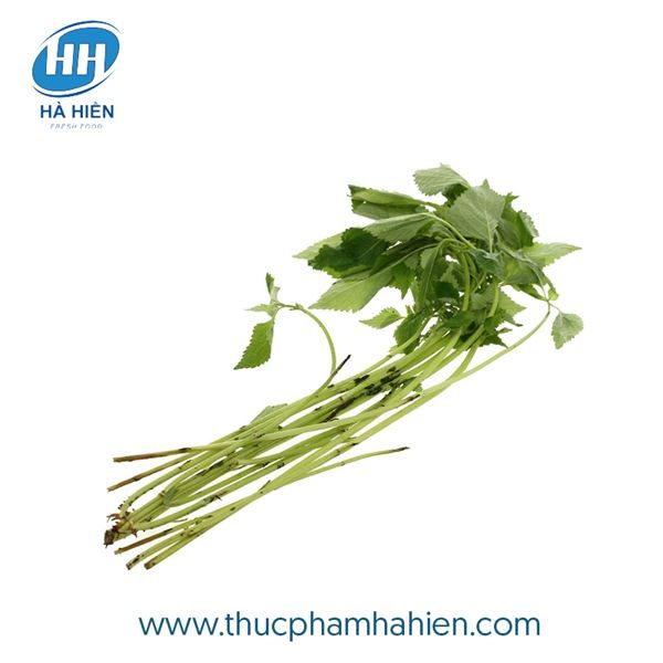 KINH GIỚI TP
