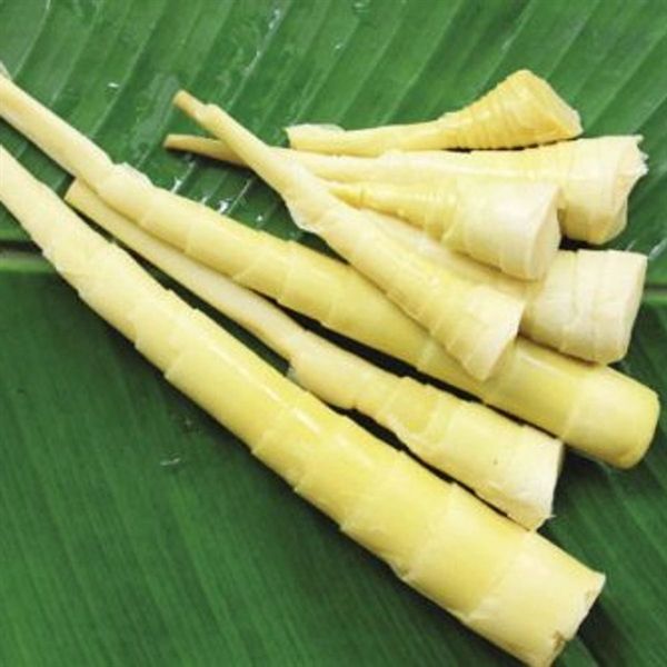MĂNG RỪNG