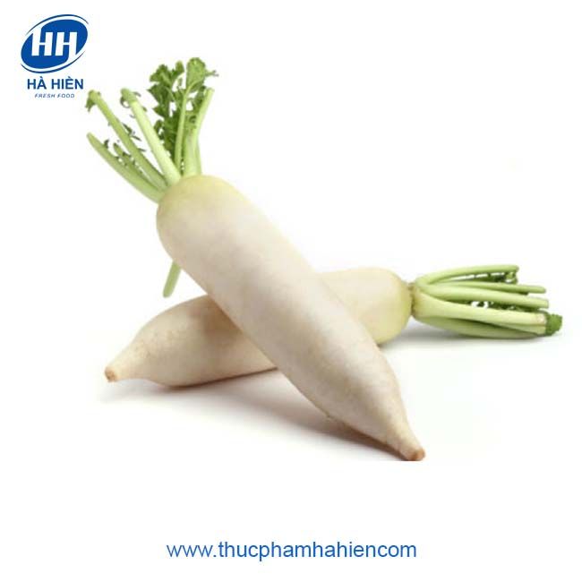 CỦ CẢI TRẮNG