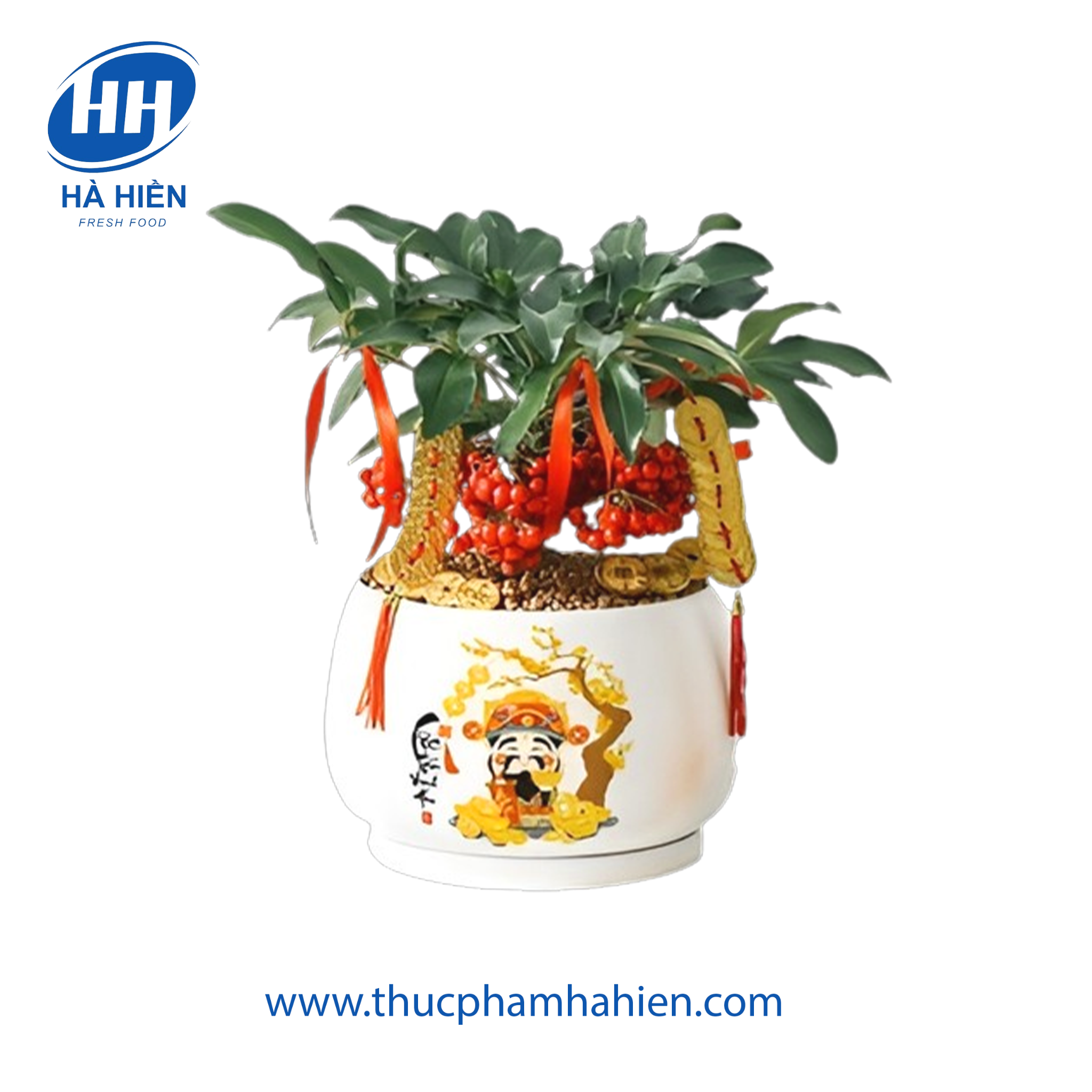 HOA KIM NGÂN LƯỢNG