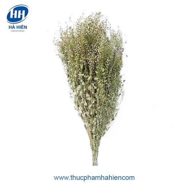 HOA LEPIDIUM XANH