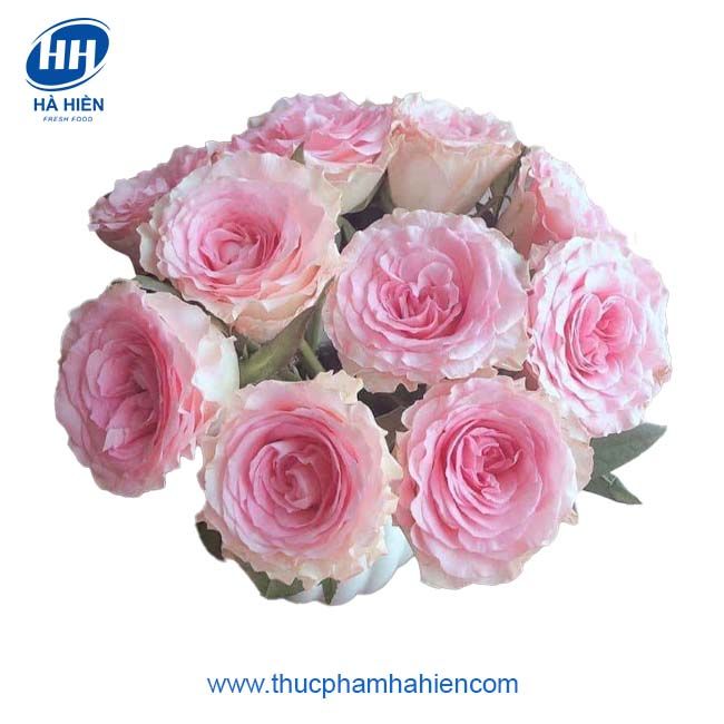 HỒNG LẠC THẦN