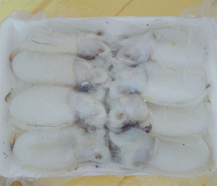 MỰC NANG NHỎ (GÓI 500GR)