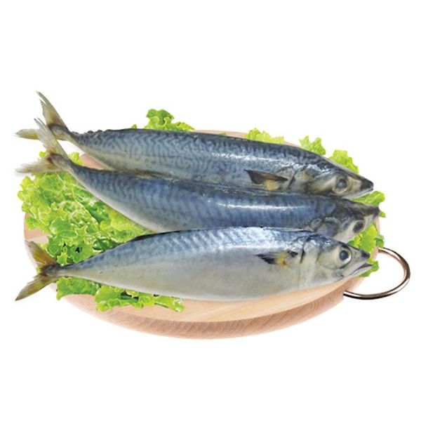 CÁ NỤC 1KG