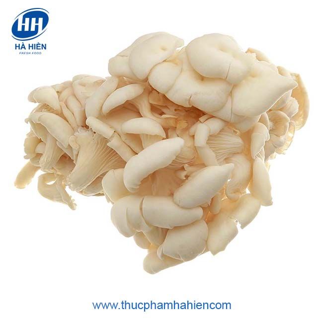 NẤM BÀO NGƯ TRẮNG 200G