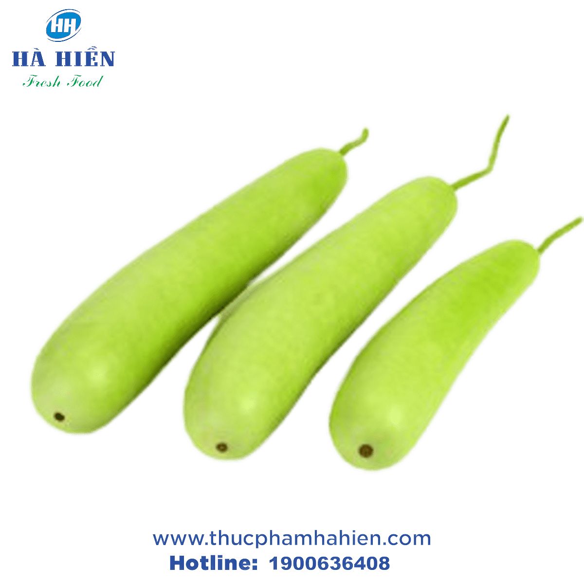 BẦU MIỀN TÂY