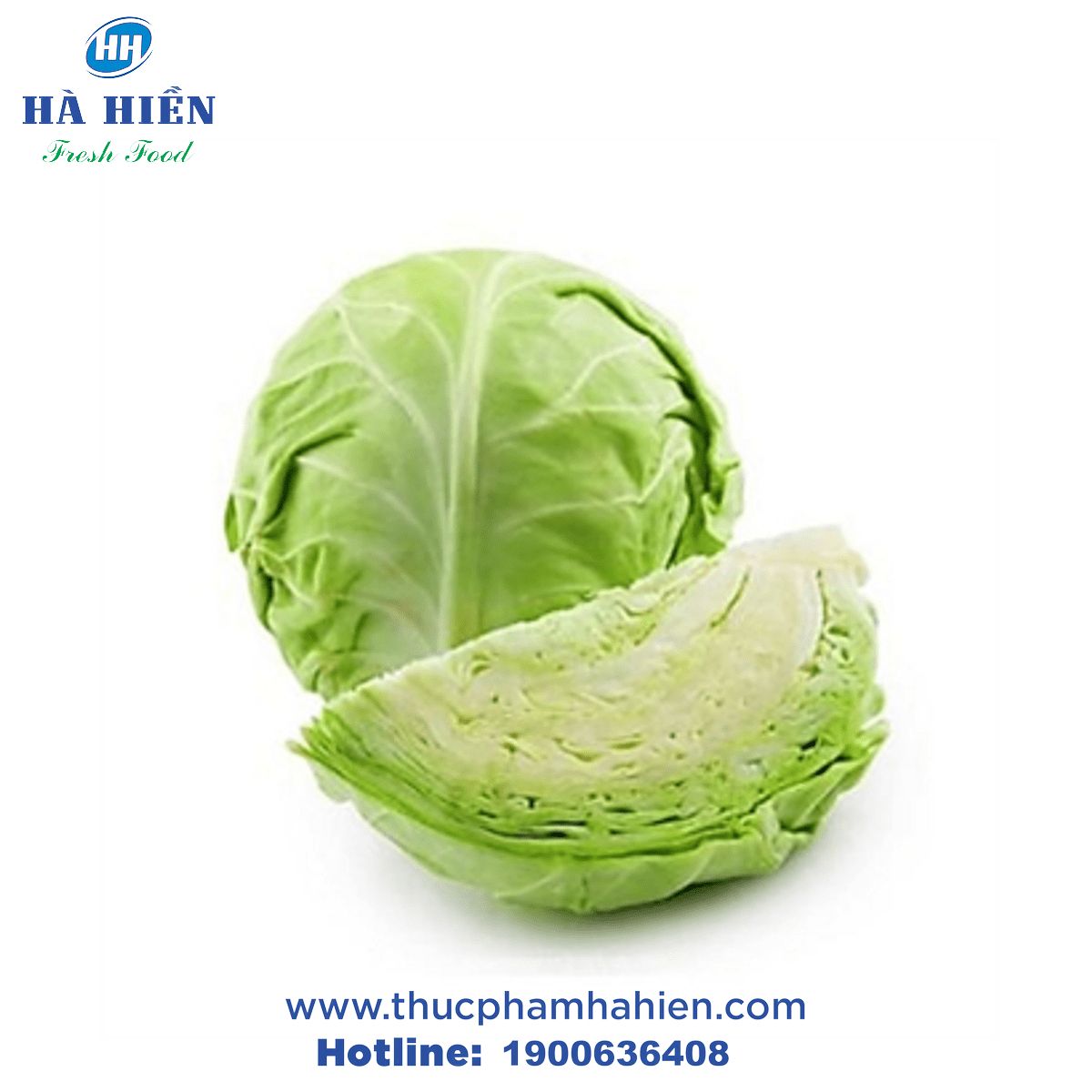 BẮP CẢI TRẮNG ĐÀ LẠT