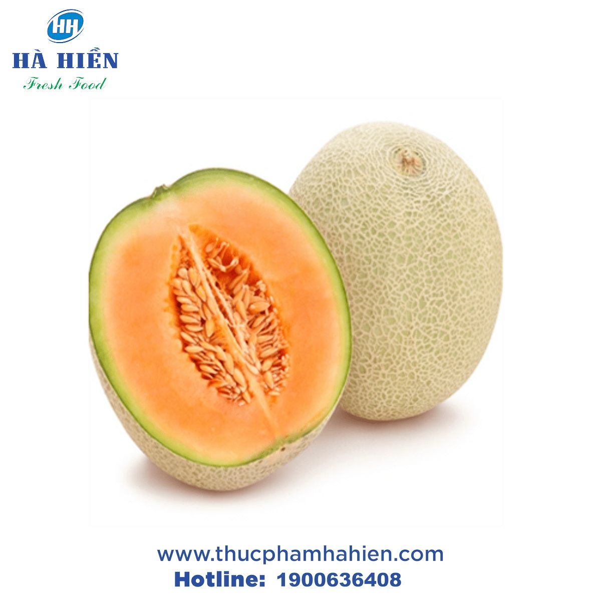 DƯA LƯỚI
