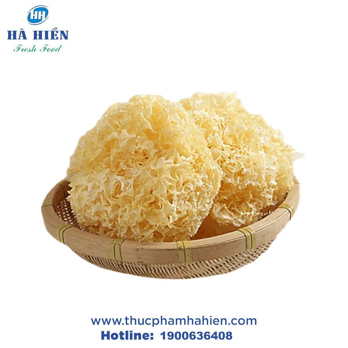 NẤM TUYẾT KHÔ