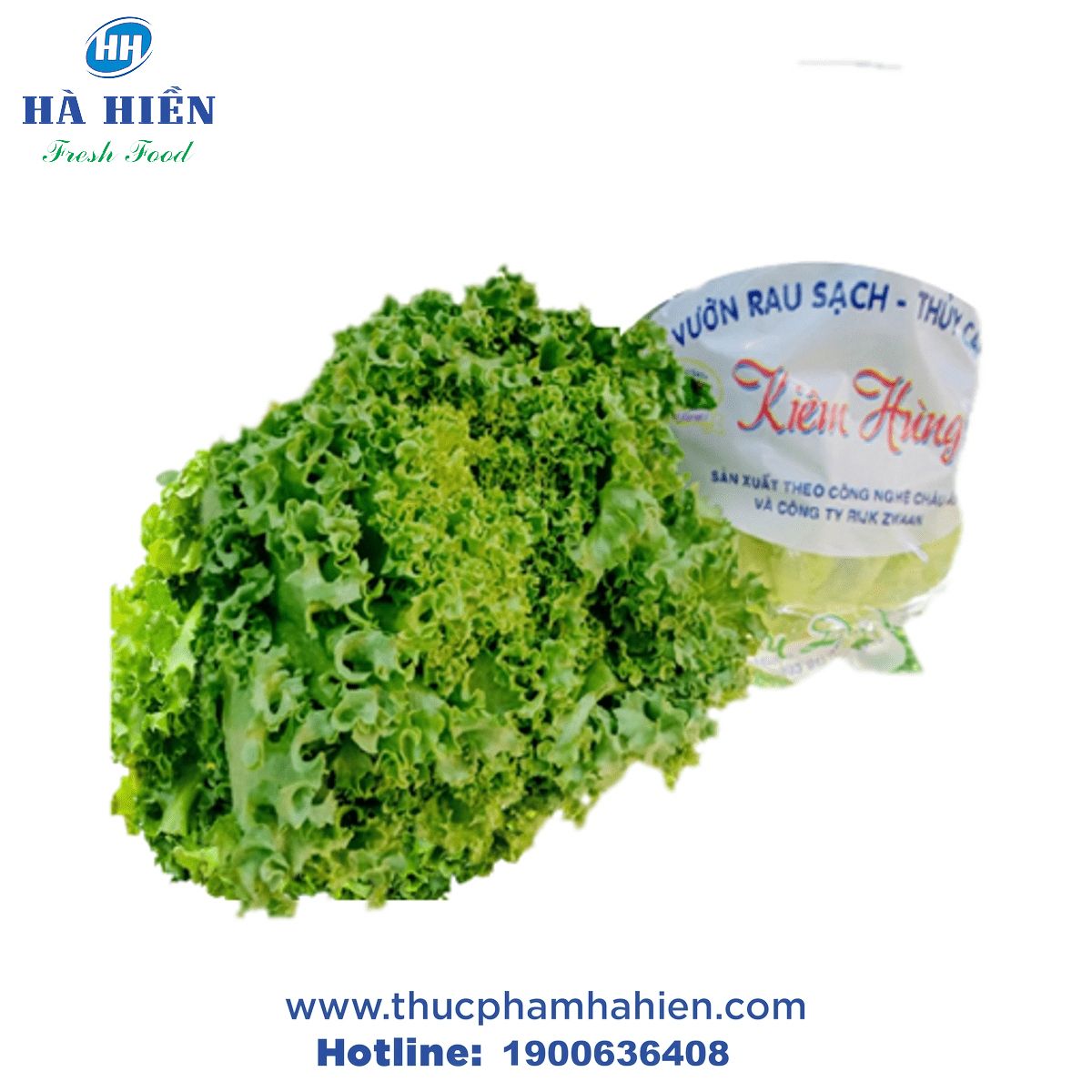 XÀ LÁCH LOLO THỦY CANH
