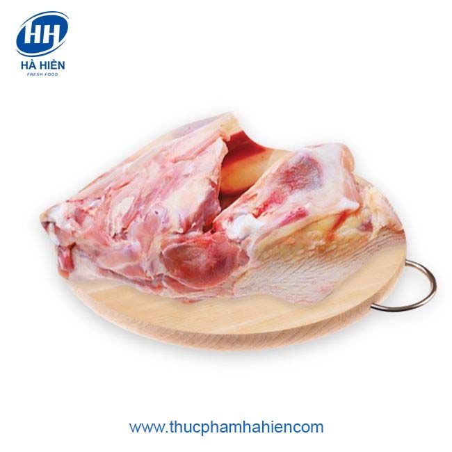 XƯƠNG ỨC GÀ (VỈ)