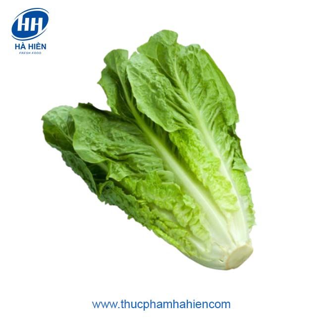XÀ LÁCH ROMAINE ĐÀ LẠT 200G