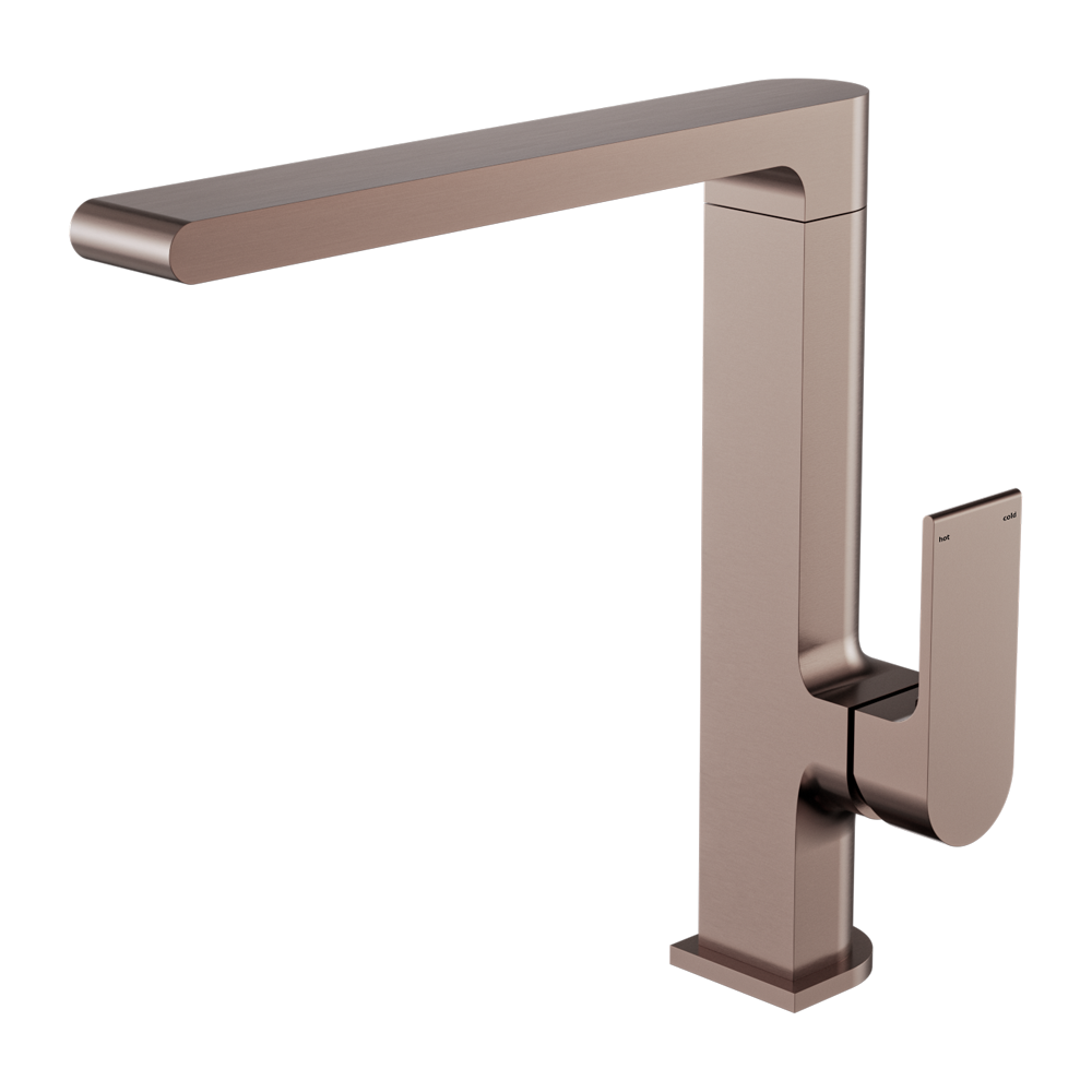 Vòi bếp rửa chén bát bằng đồng Biane - 321507