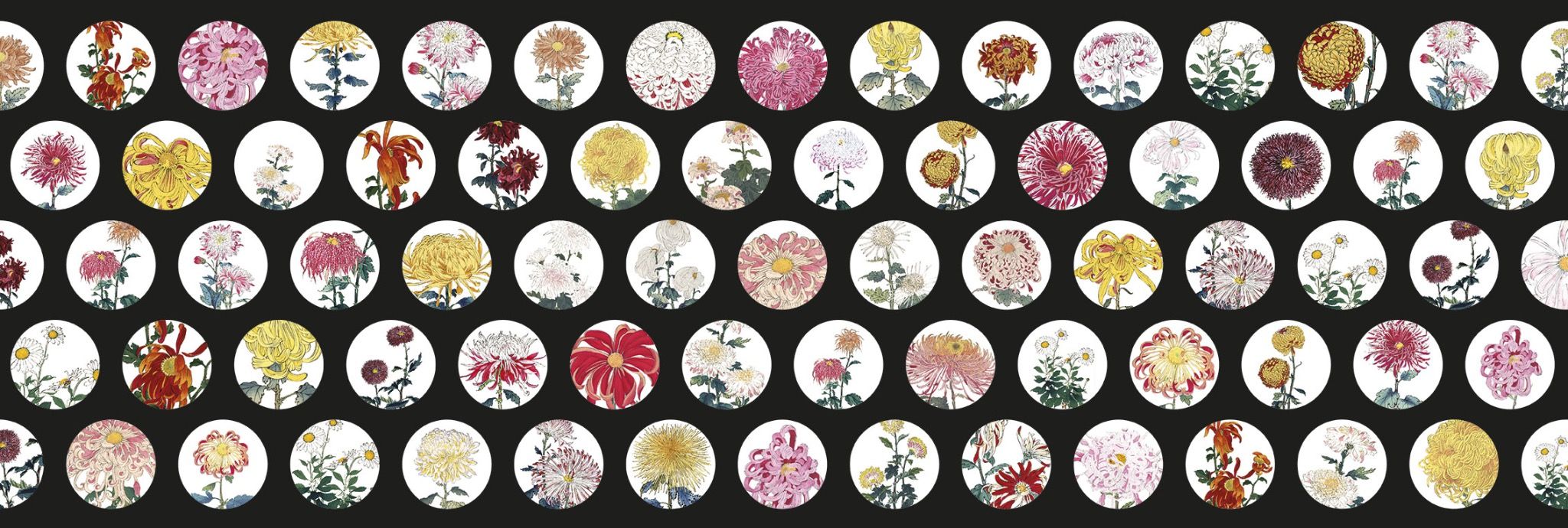 Giấy dán tường Alan Chain Flower - 505-005