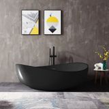  Bồn tắm acrylic - 6620WT-Black 