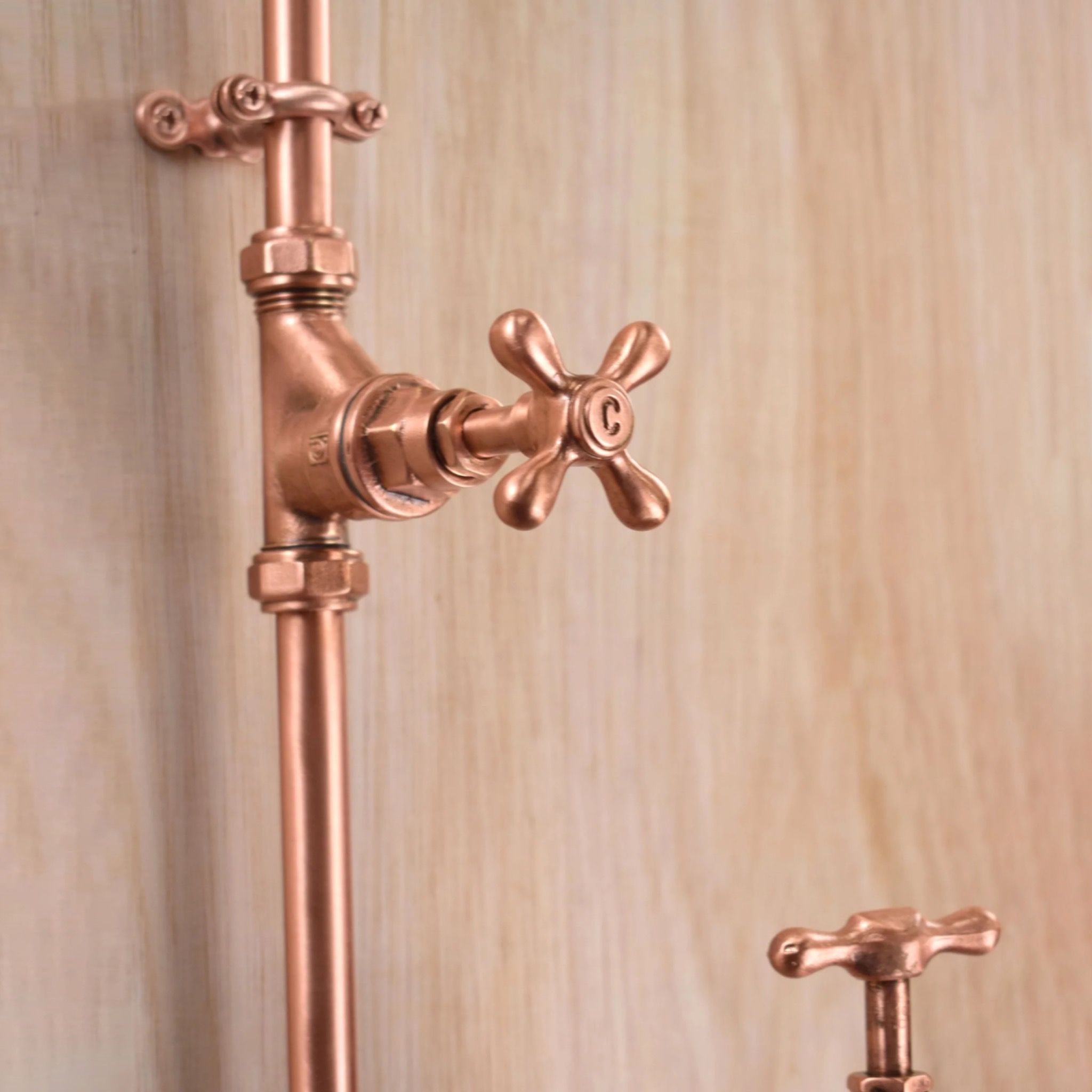 Sen cây gắn tường ngoài trời chỉ có nước lạnh bằng đồng (copper) - Projar