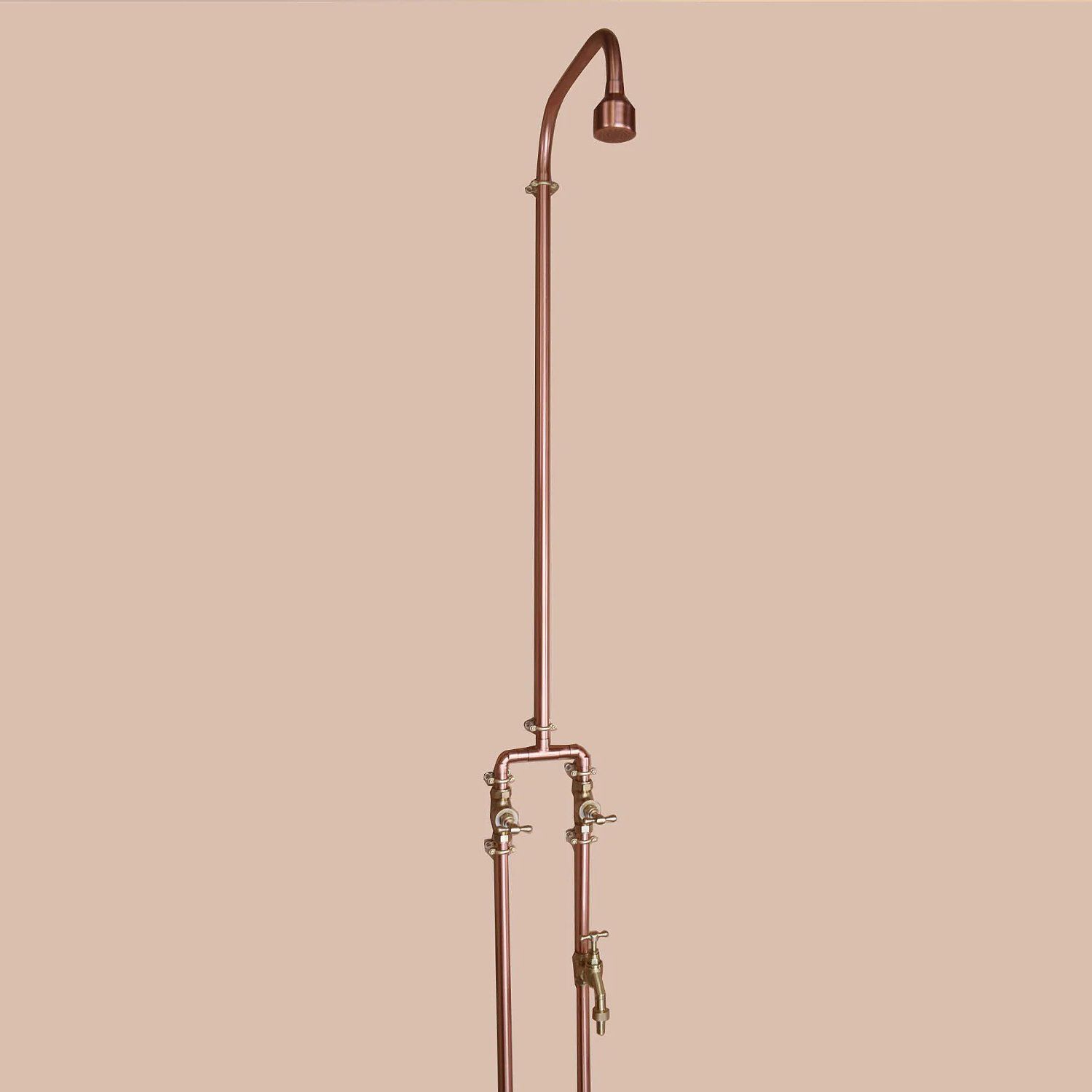 Sen cây gắn tường ngoài trời bằng đồng (copper) - Prolam