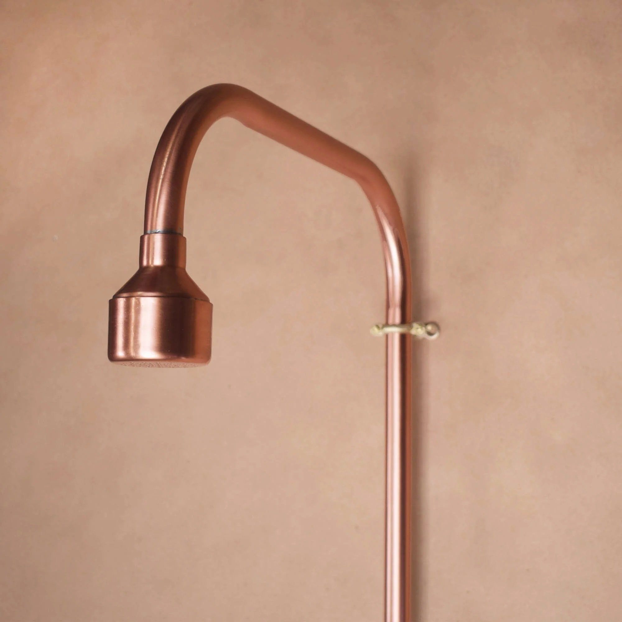 Sen cây gắn tường ngoài trời bằng đồng (copper) - Prolam