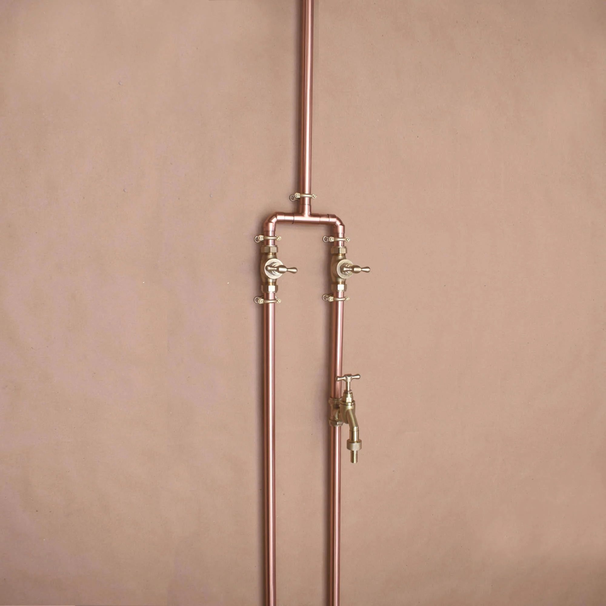 Sen cây gắn tường ngoài trời bằng đồng (copper) - Prolam