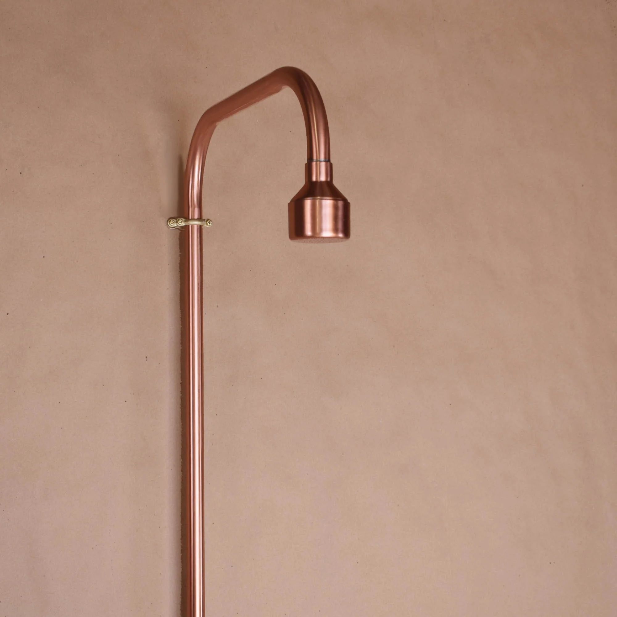 Sen cây gắn tường ngoài trời bằng đồng (copper) - Prolam