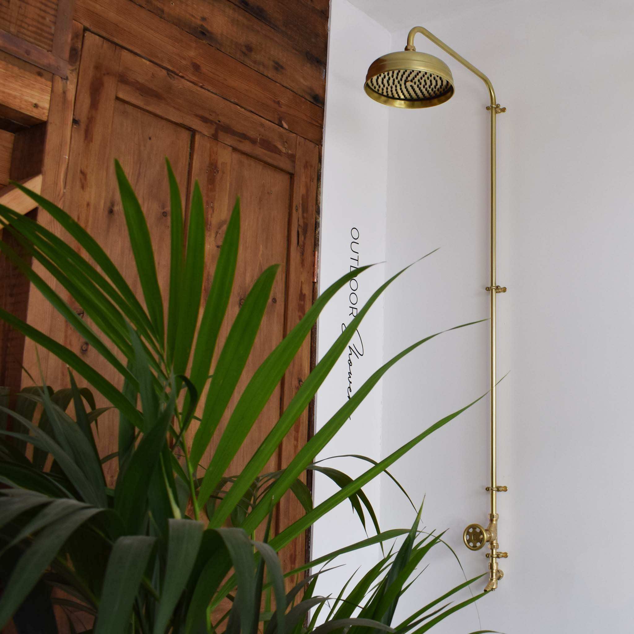 Sen cây gắn tường ngoài trời chỉ có nước lạnh bằng đồng thau (brass) - Prosan