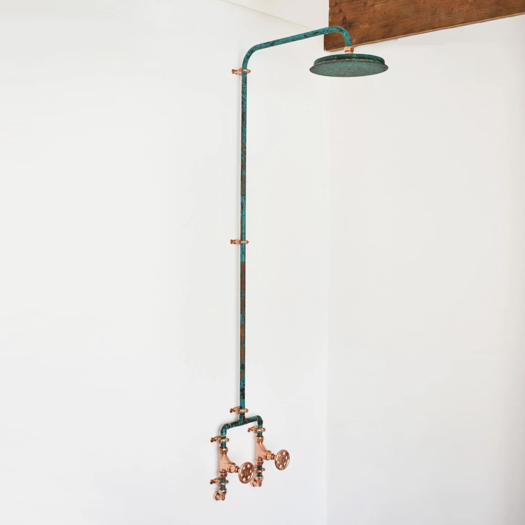 Sen cây ngoài trời bằng đồng (copper) - Prover