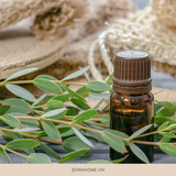 TINH DẦU TRÀM TRÀ - TEA TREE ESSENTIAL OIL - NGUYÊN LIỆU LÀM XÀ PHÒNG CHUYÊN NGHIỆP