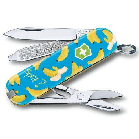 Victorinox Classic 2019 SD - Limited Edition