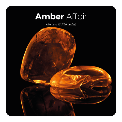 Nước hoa Amber Affair
