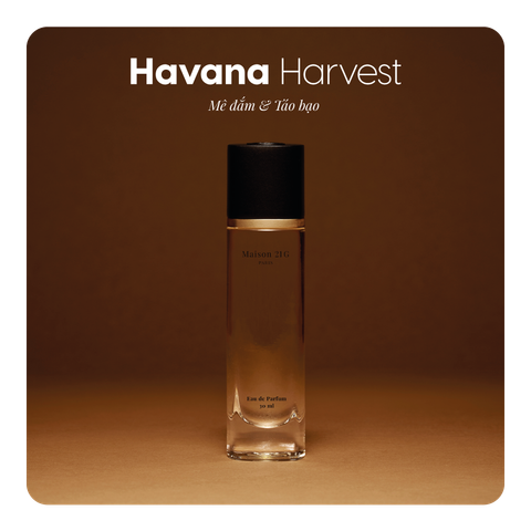 Nước hoa Havana Harvest
