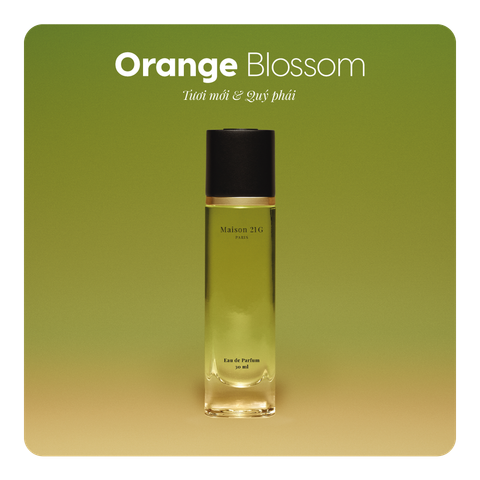 Nước hoa Orange Blossom