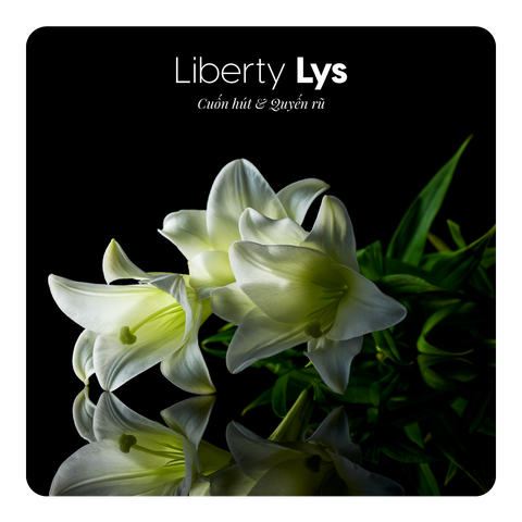 Nước hoa Liberty Lys