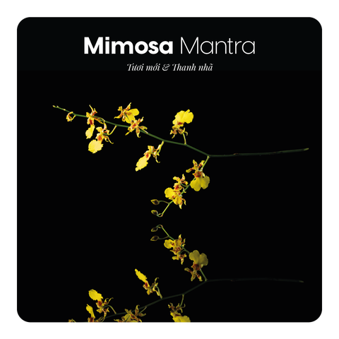 Nước hoa Mimosa Mantra