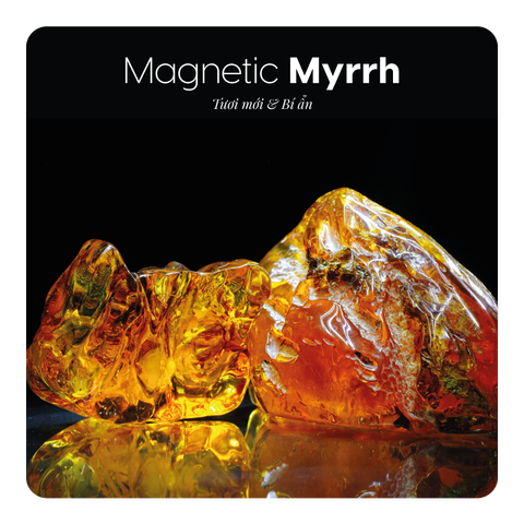 Nước hoa Magnetic Myrrh
