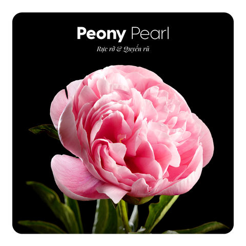 Nước hoa Peony Pearl