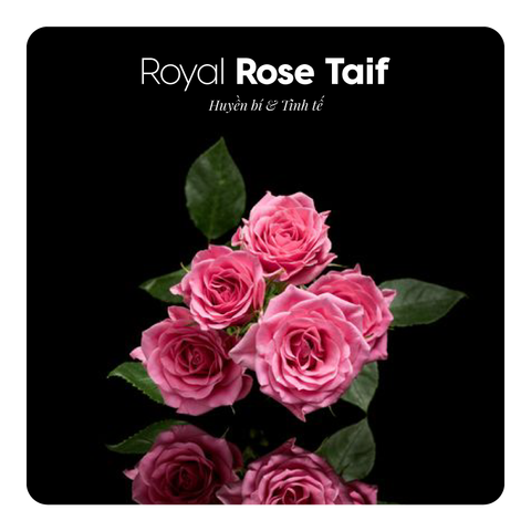 Nước hoa Royal Rose Taif