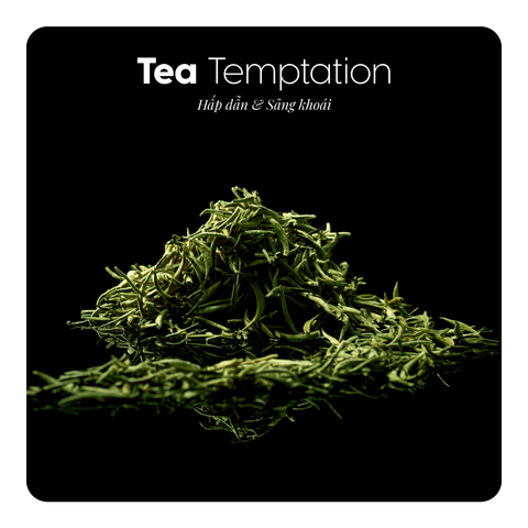 Nước hoa Tea Temptation