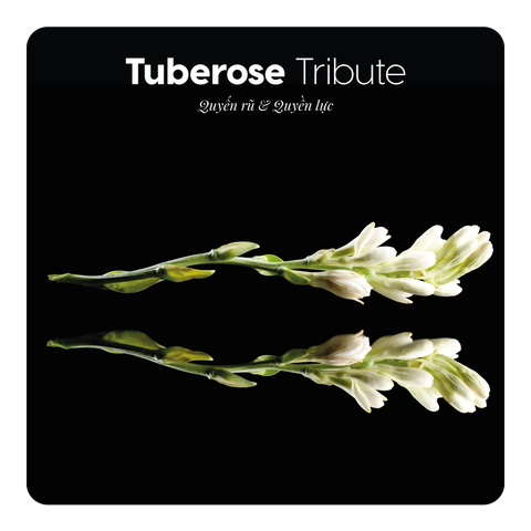 Nước hoa Tuberose Tribute