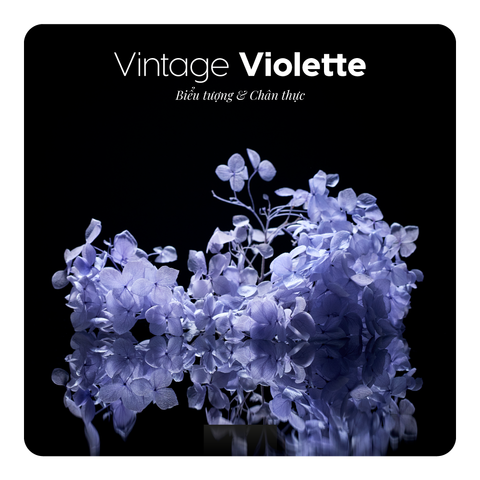 Nước hoa Vintage Violette
